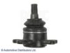 BLUE PRINT ADG086136 Ball Joint